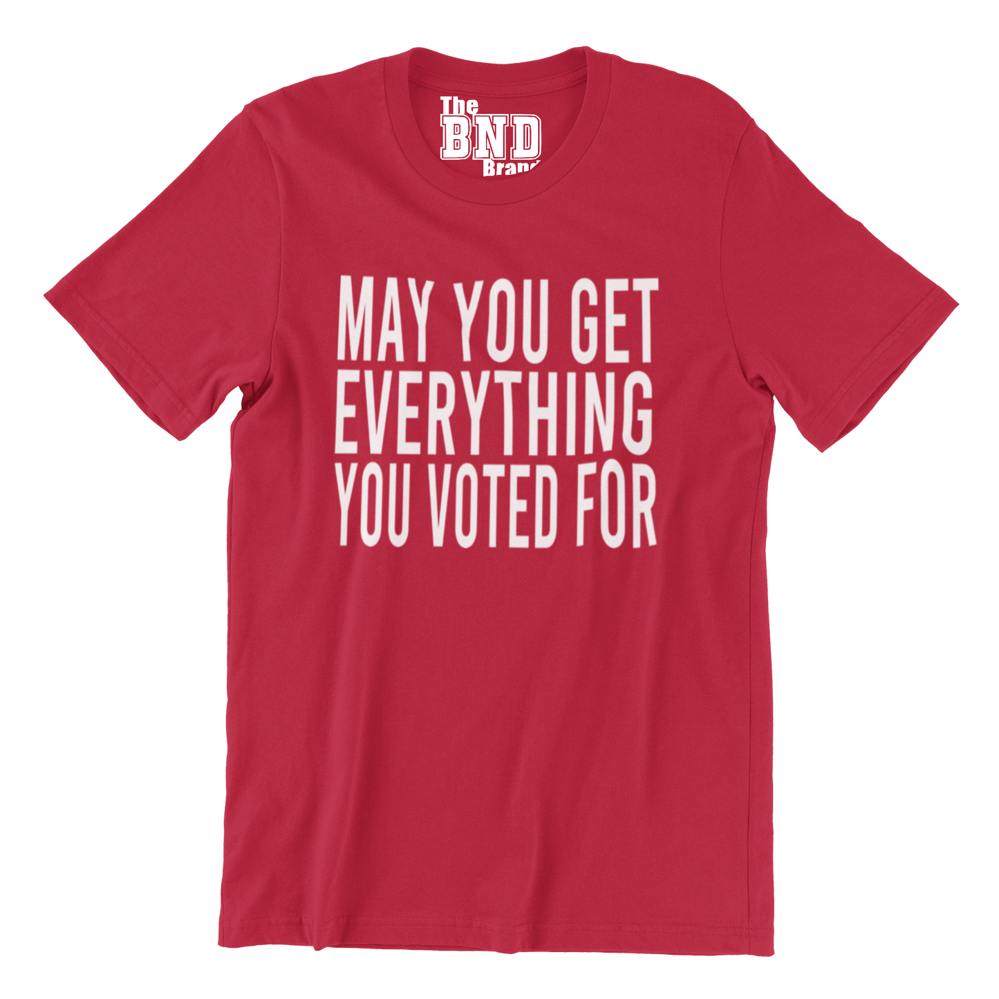 MAY YOU GET EVERYTHING YOU VOTED FOR TEE