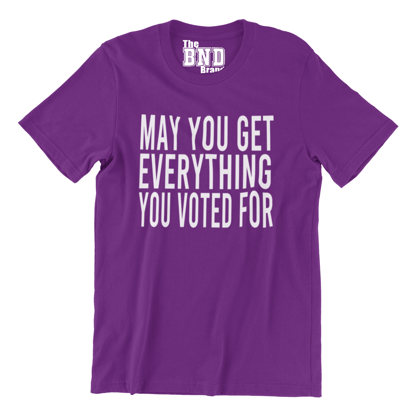 MAY YOU GET EVERYTHING YOU VOTED FOR TEE