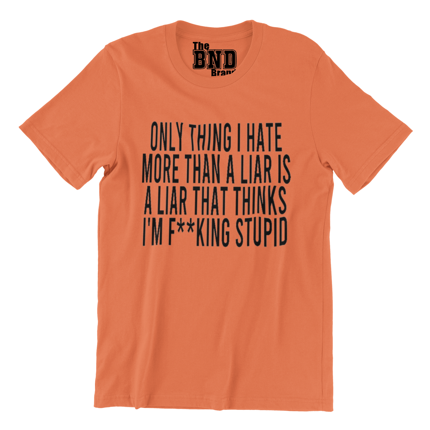 ONLY THING I HATE MORE THAN A LIAR IS A LIAR THAT THINKS I'M FUCKING STUPID TEE