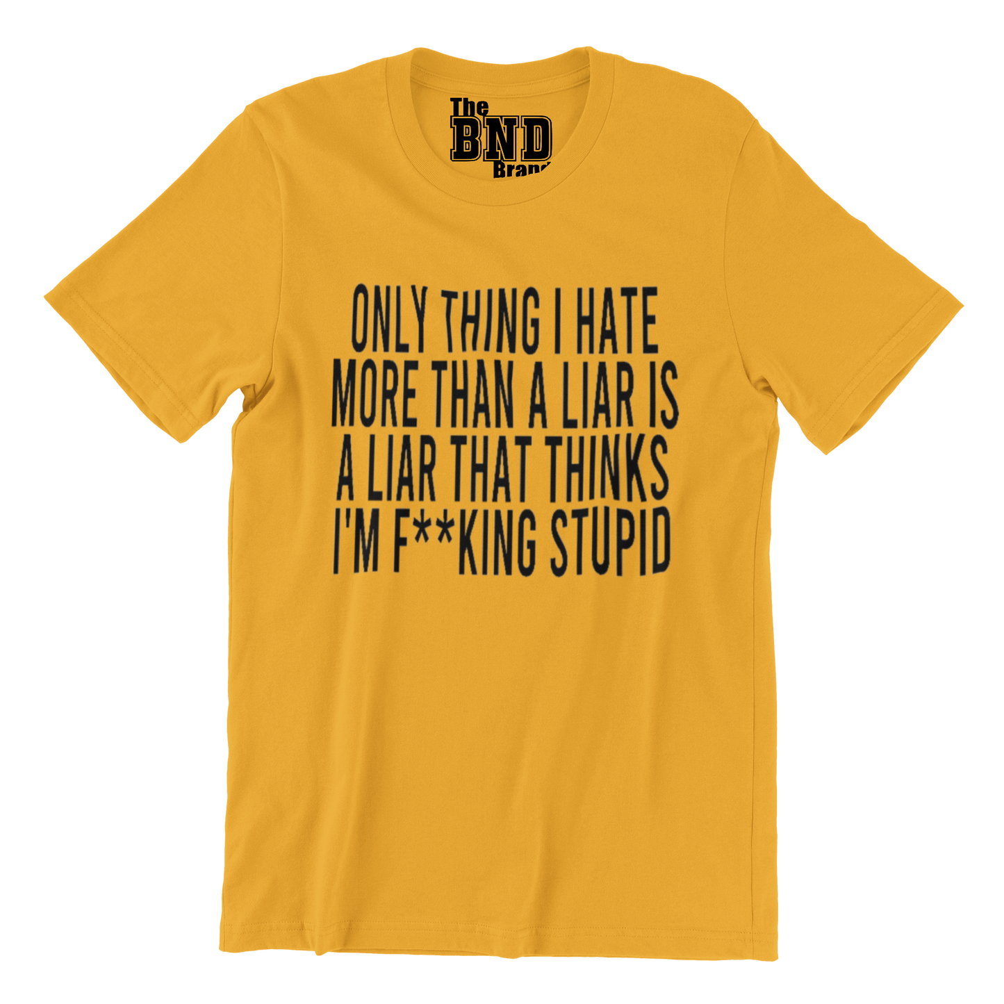 ONLY THING I HATE MORE THAN A LIAR IS A LIAR THAT THINKS I'M FUCKING STUPID TEE