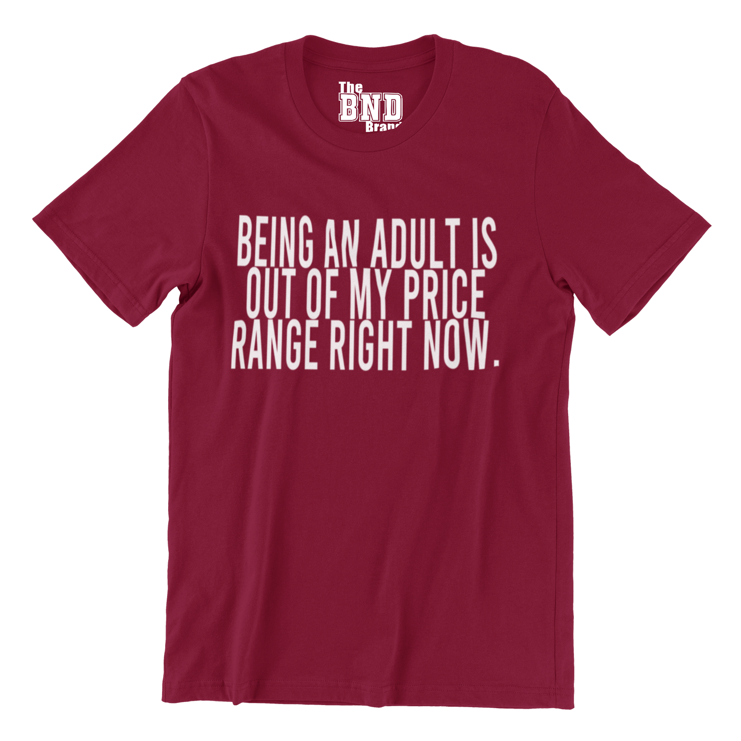 BEING AN ADULT IS OUT OF MY PRICE RANGE RIGHT NOW.