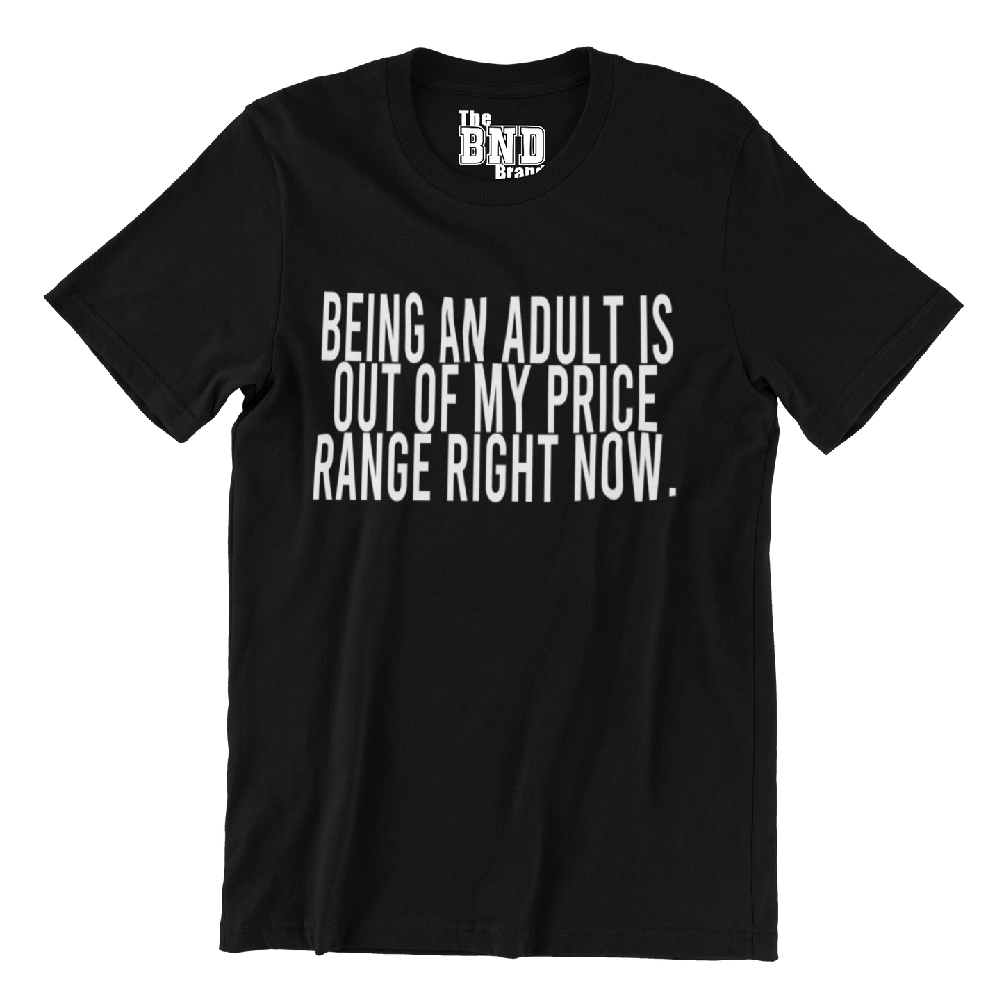 BEING AN ADULT IS OUT OF MY PRICE RANGE RIGHT NOW.