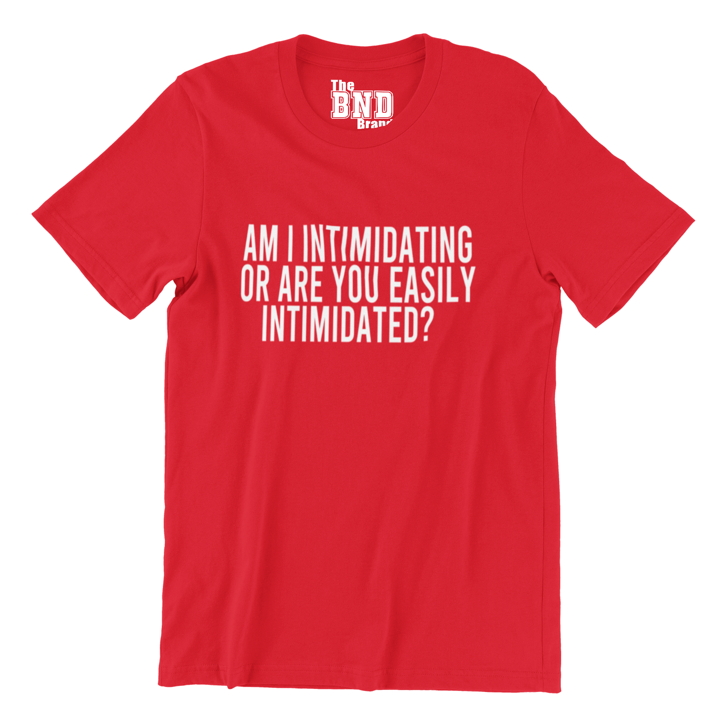 AM I INTIMIDATING OR ARE YOU EASILY INTIMIDATED?