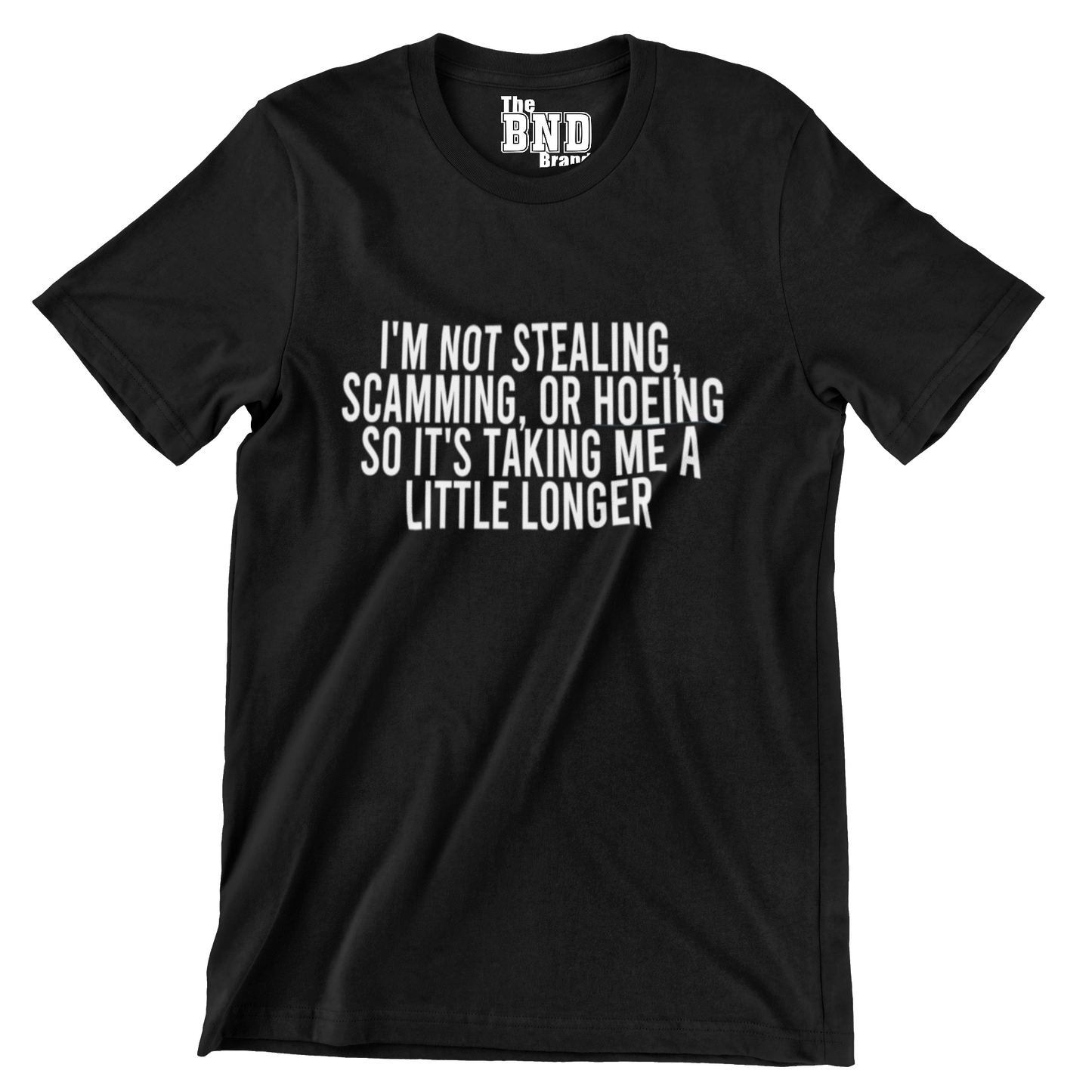 I'M NOT STEALING, SCAMMING, OR HOEING SO IT'S TAKING ME A LITTLE LONGER