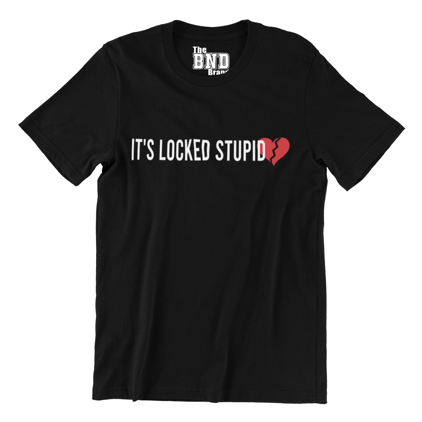 IT'S LOCKED STUPID TEE