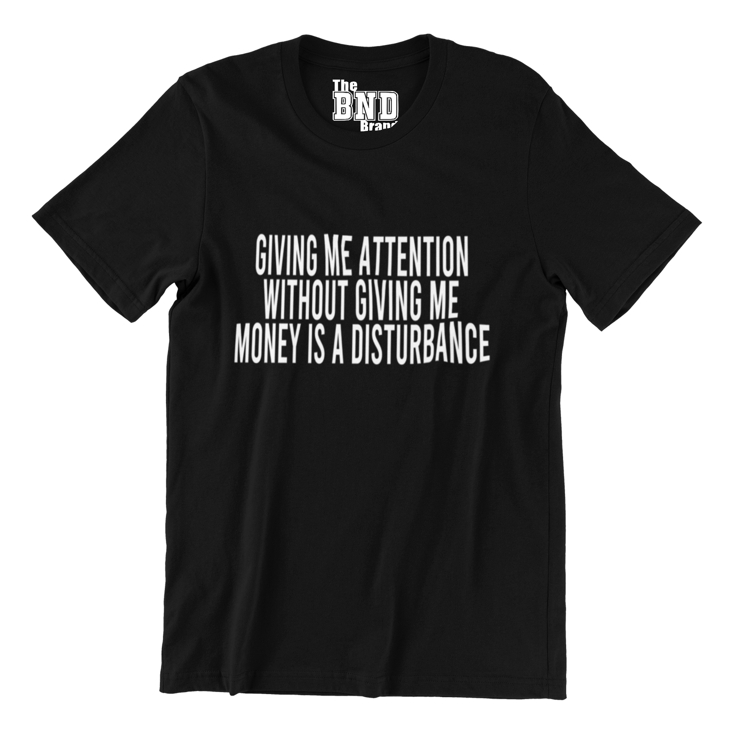 GIVING ME ATTENTION WITHOUT GIVING ME MONEY IS A DISTURBANCE TEE