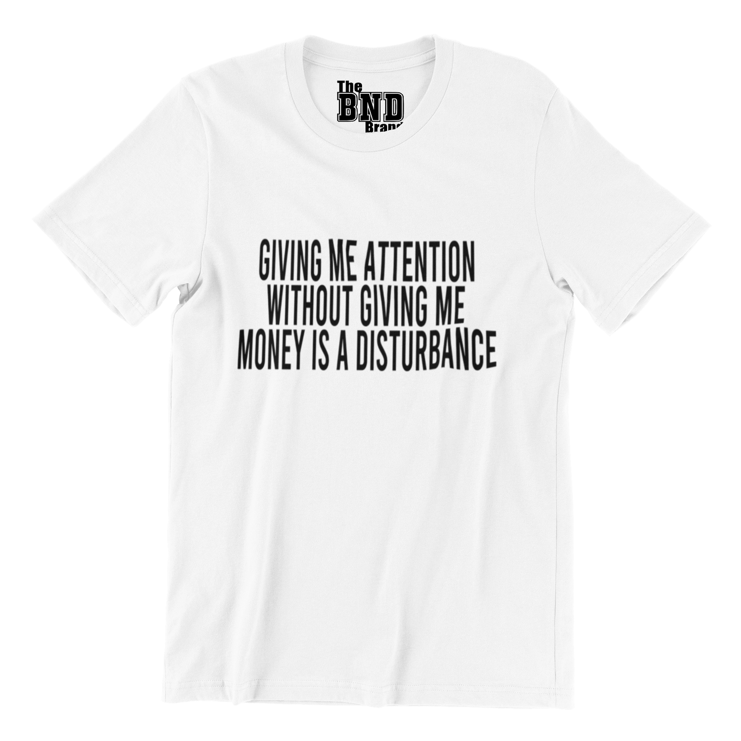 GIVING ME ATTENTION WITHOUT GIVING ME MONEY IS A DISTURBANCE TEE