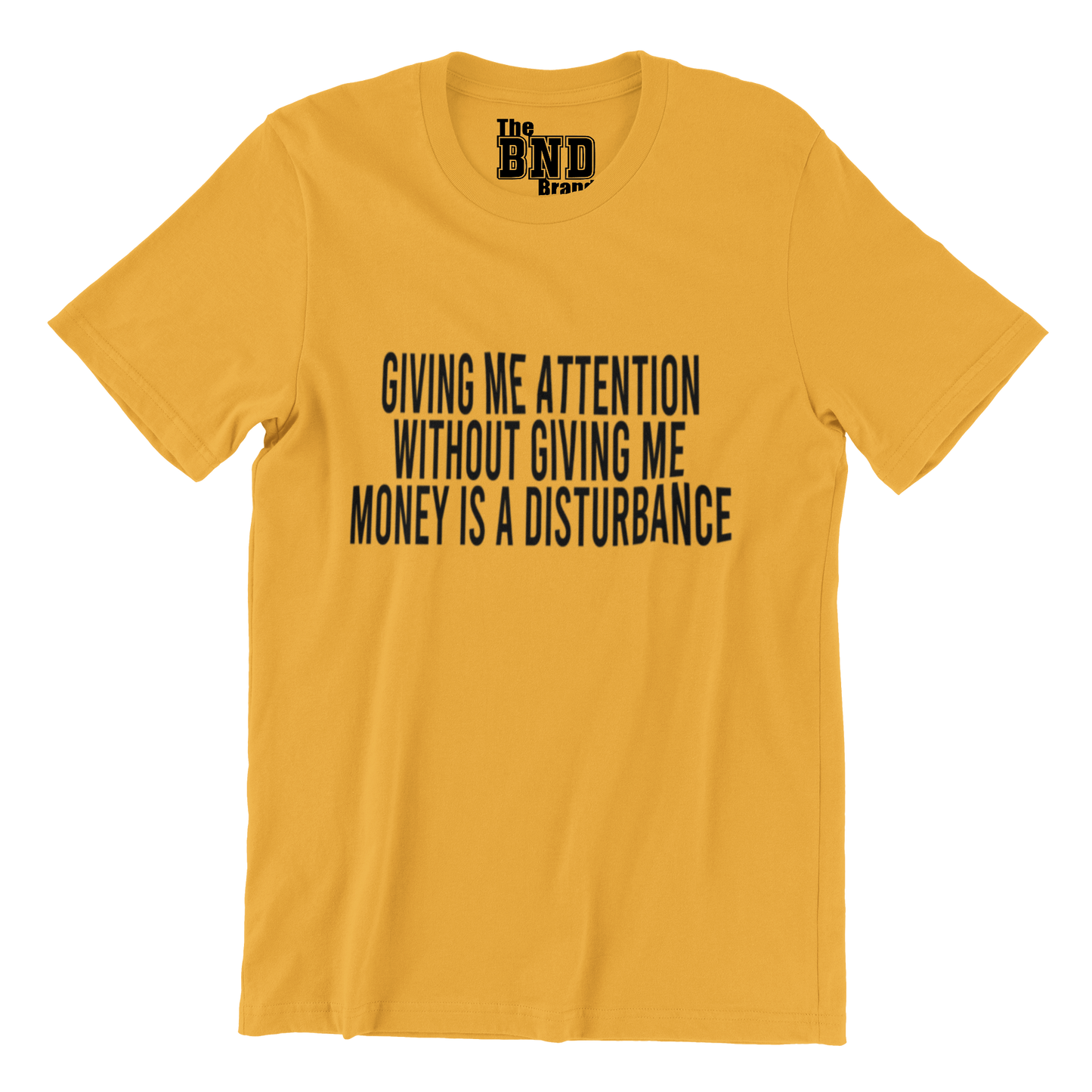 GIVING ME ATTENTION WITHOUT GIVING ME MONEY IS A DISTURBANCE TEE