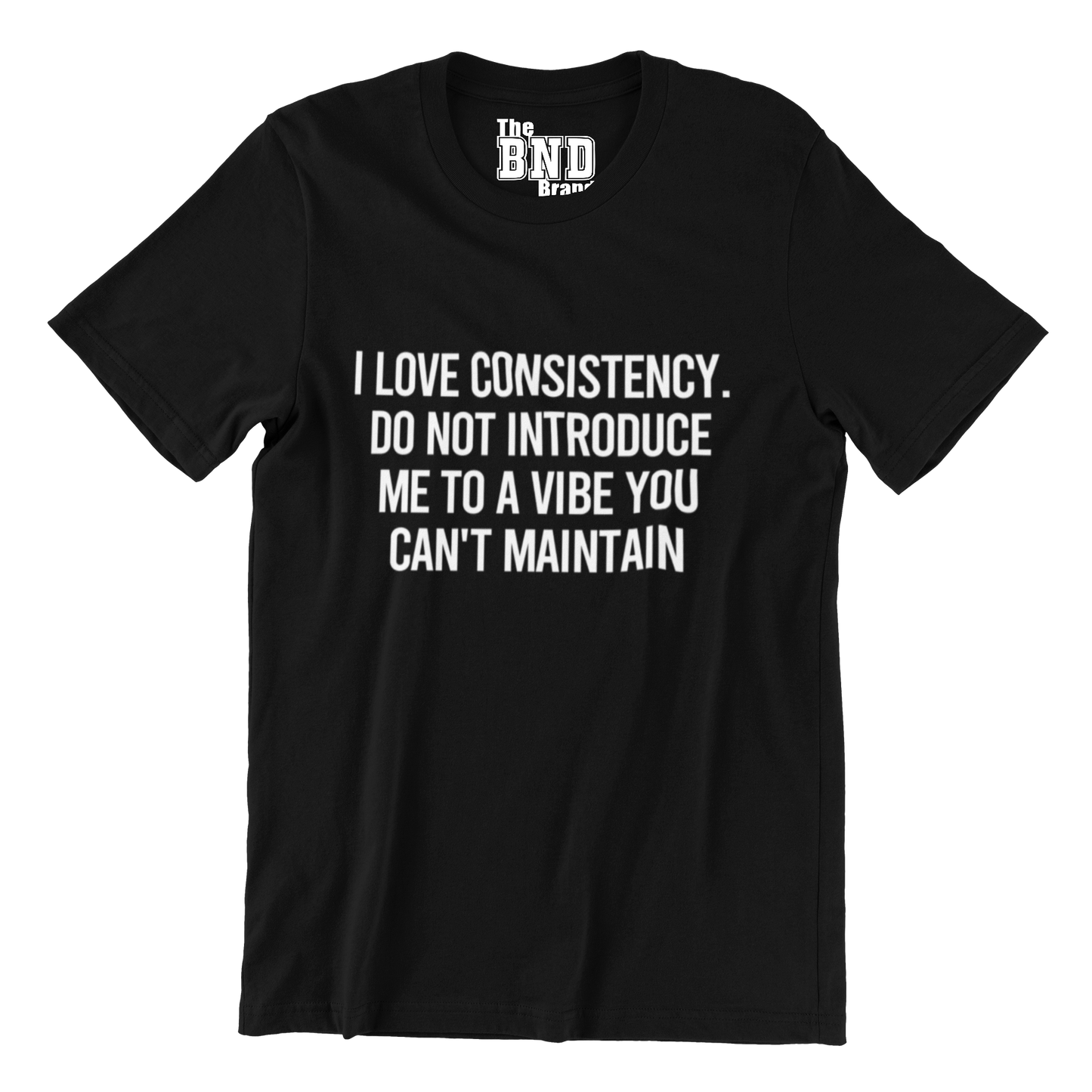 I LOVE CONSISTENCY. DO NOT INTRODUCE ME TO A VIBE YOU CAN'T MAINTAIN TEE