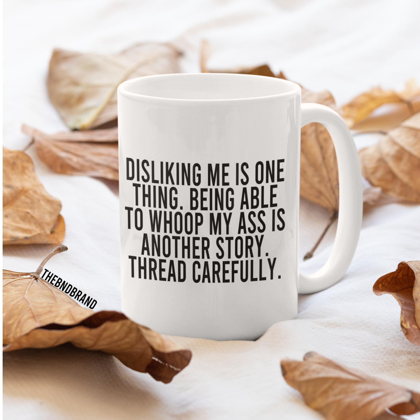DISLIKING ME IS ONE THING. MUG