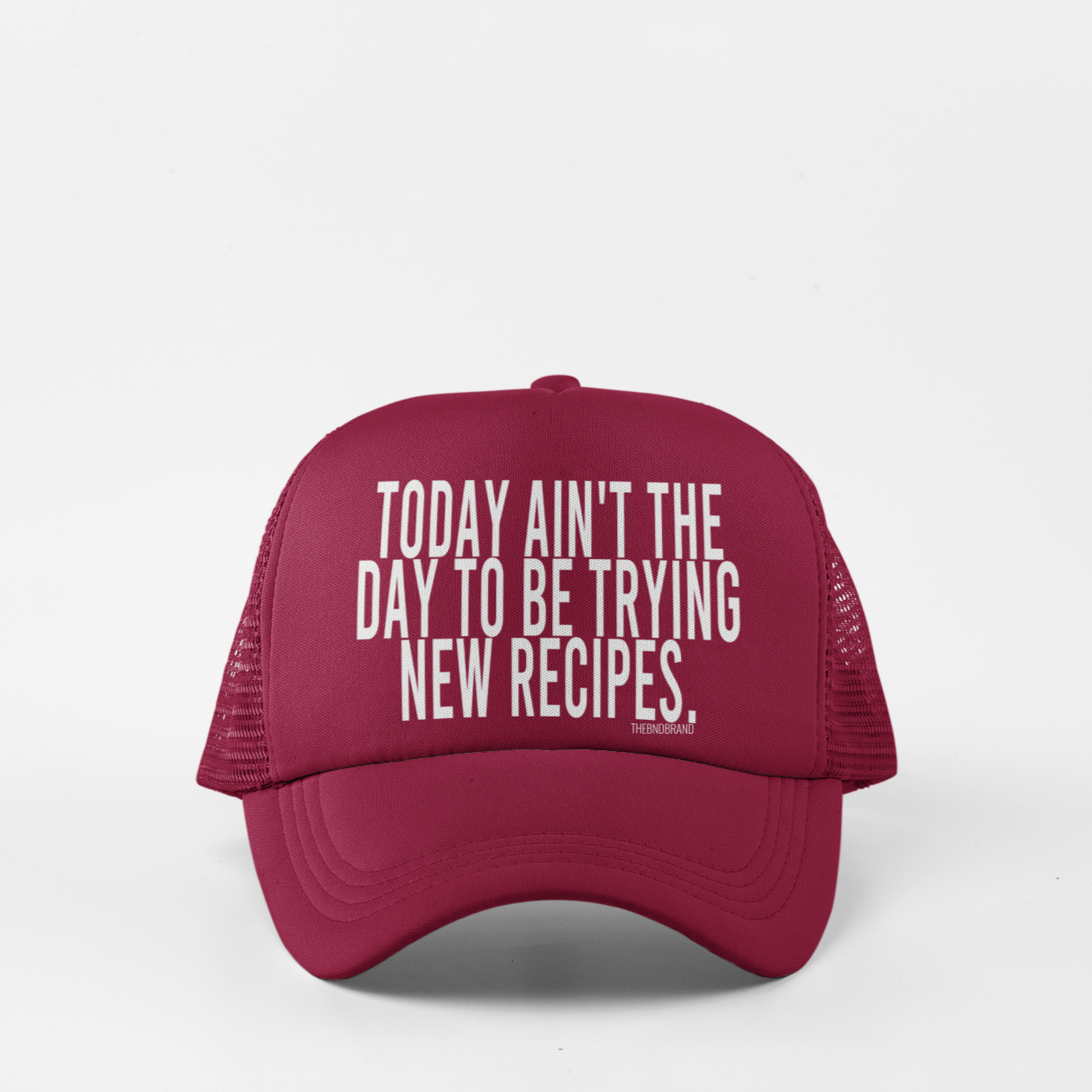 TODAY AIN'T THE DAY TO BE TRYING NEW RECIPES.