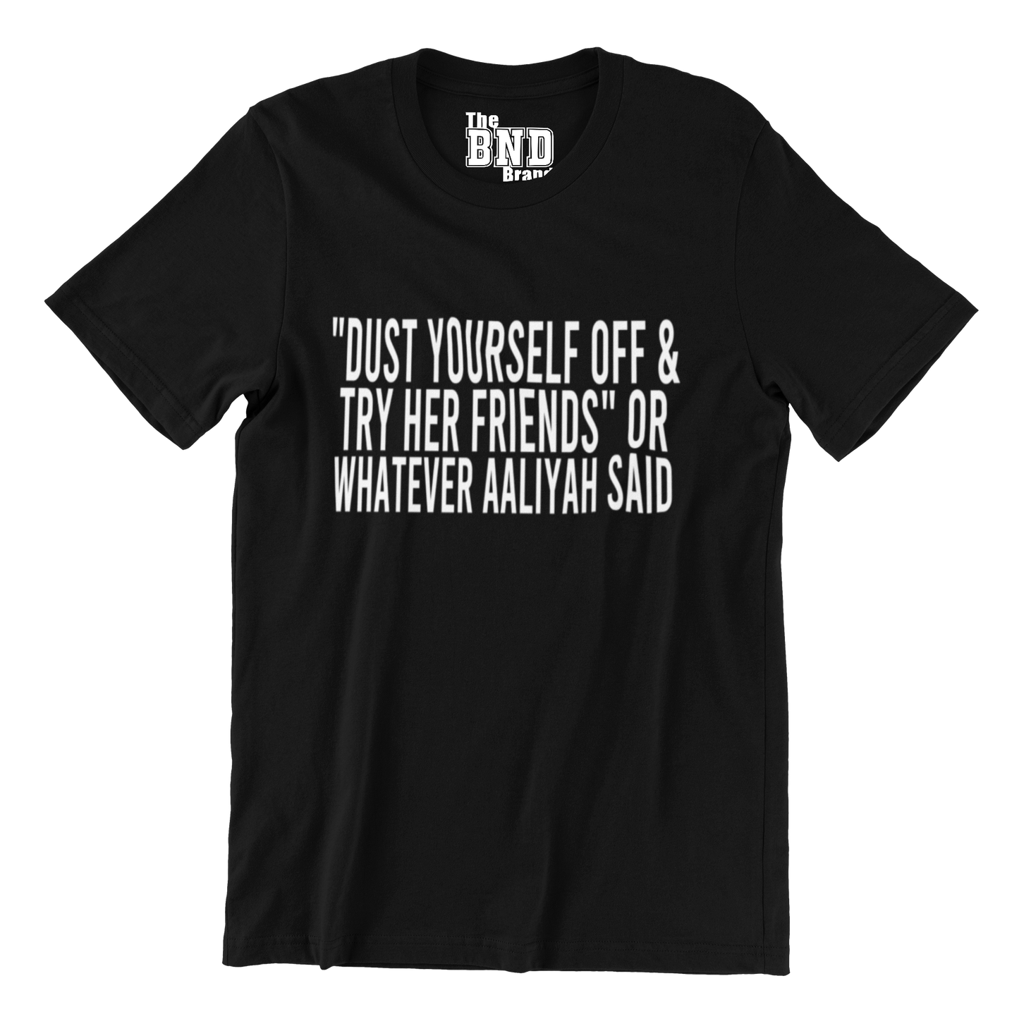 DUST YOURSELF OFF AND TRY HER FRIENDS OR WHATEVER AALIYAH SAID