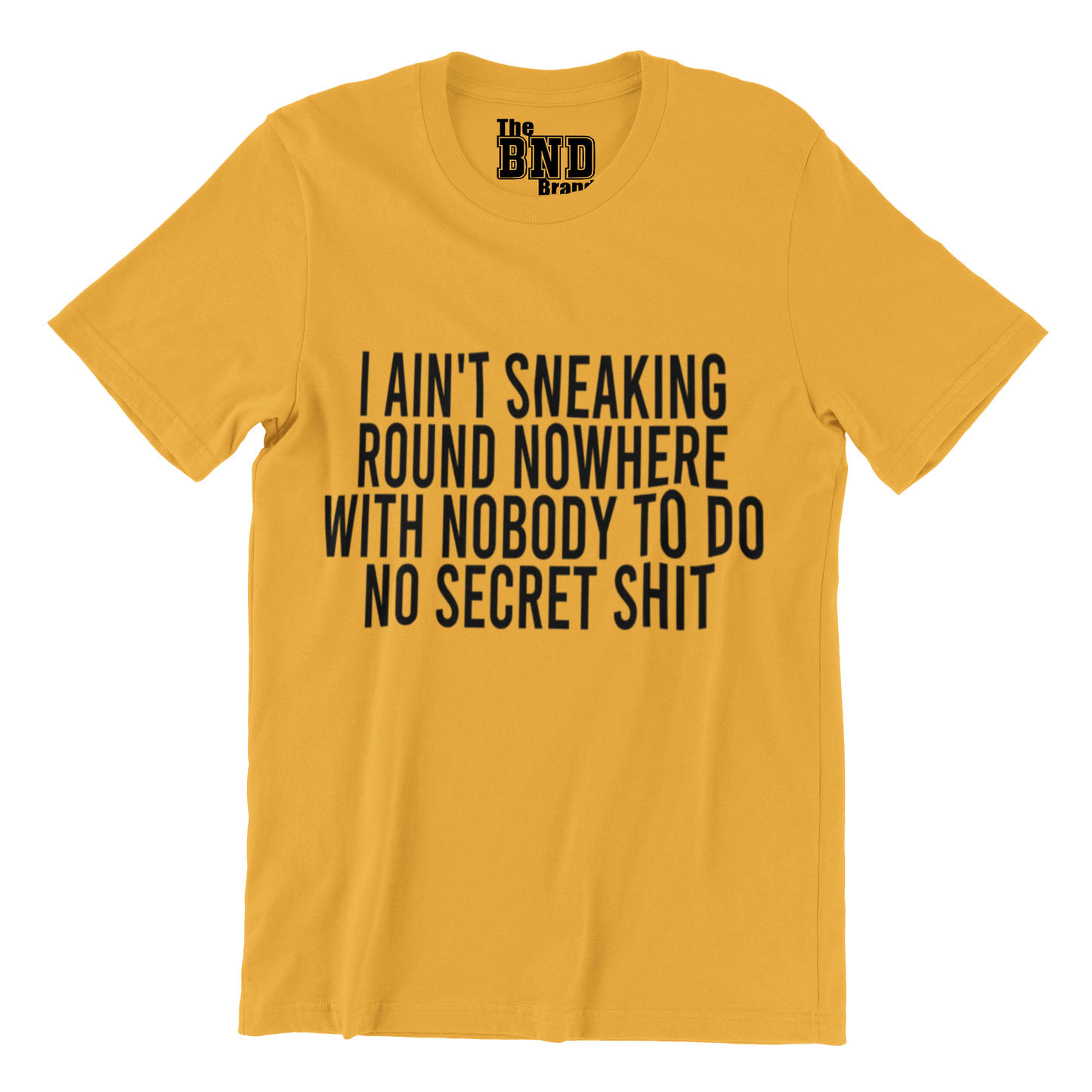 I AIN'T SNEAKING ROUND NOWHERE WITH NOBODY TO DO NO SECRET SHIT