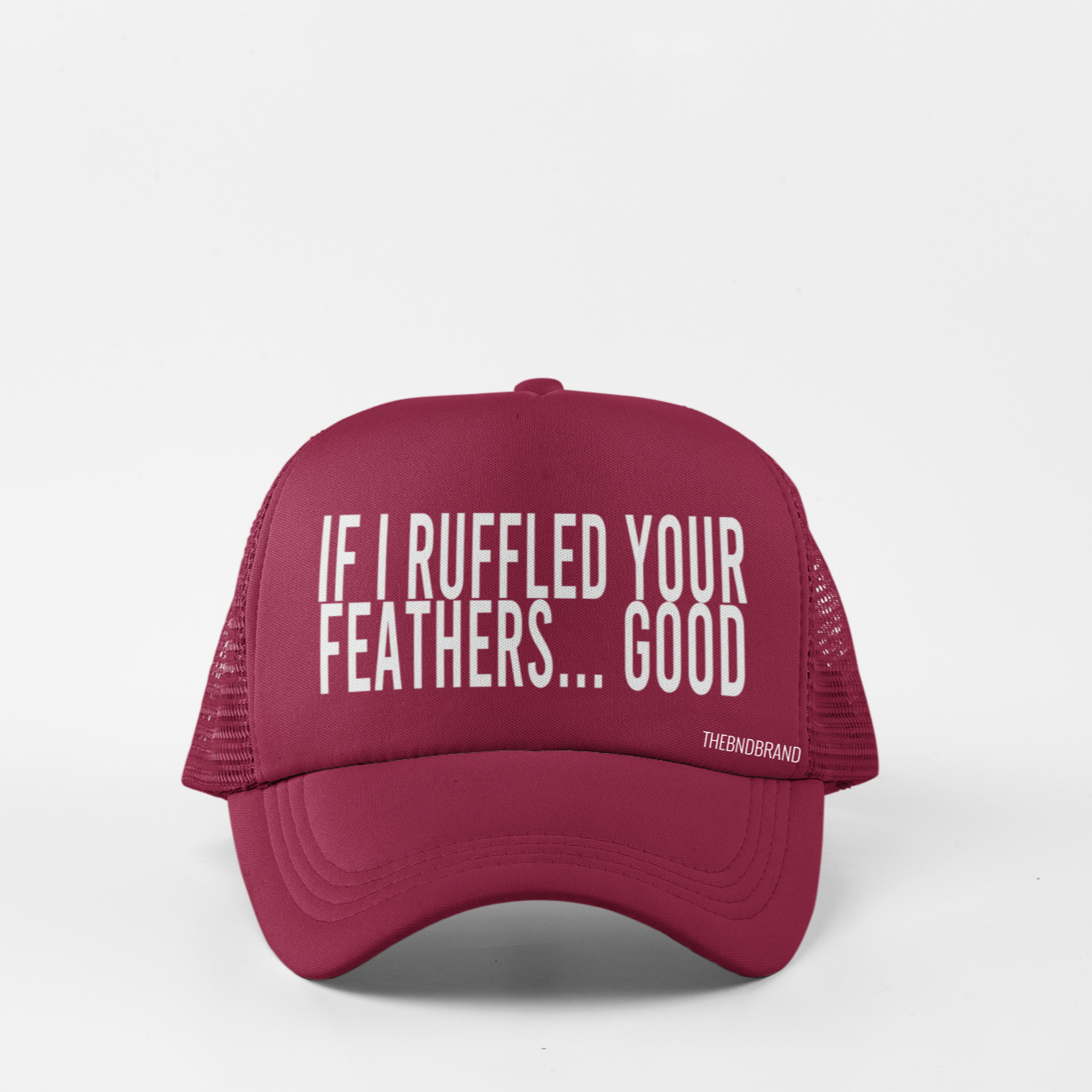 IF I RUFFLED YOUR FEATHERS... GOOD HAT