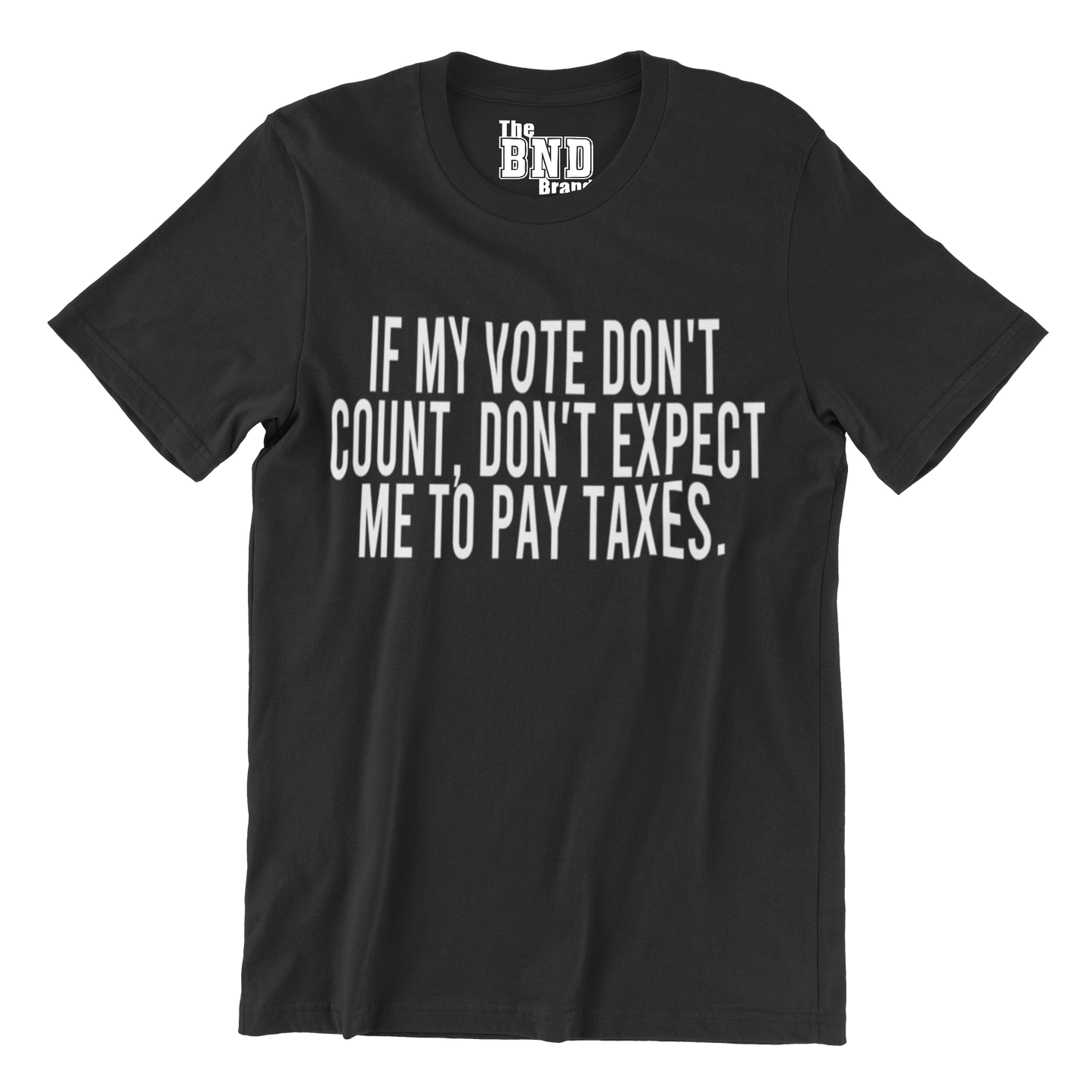 IF MY VOTE DON'T COUNT, DON'T EXPECT ME TO PAY TAXES.
