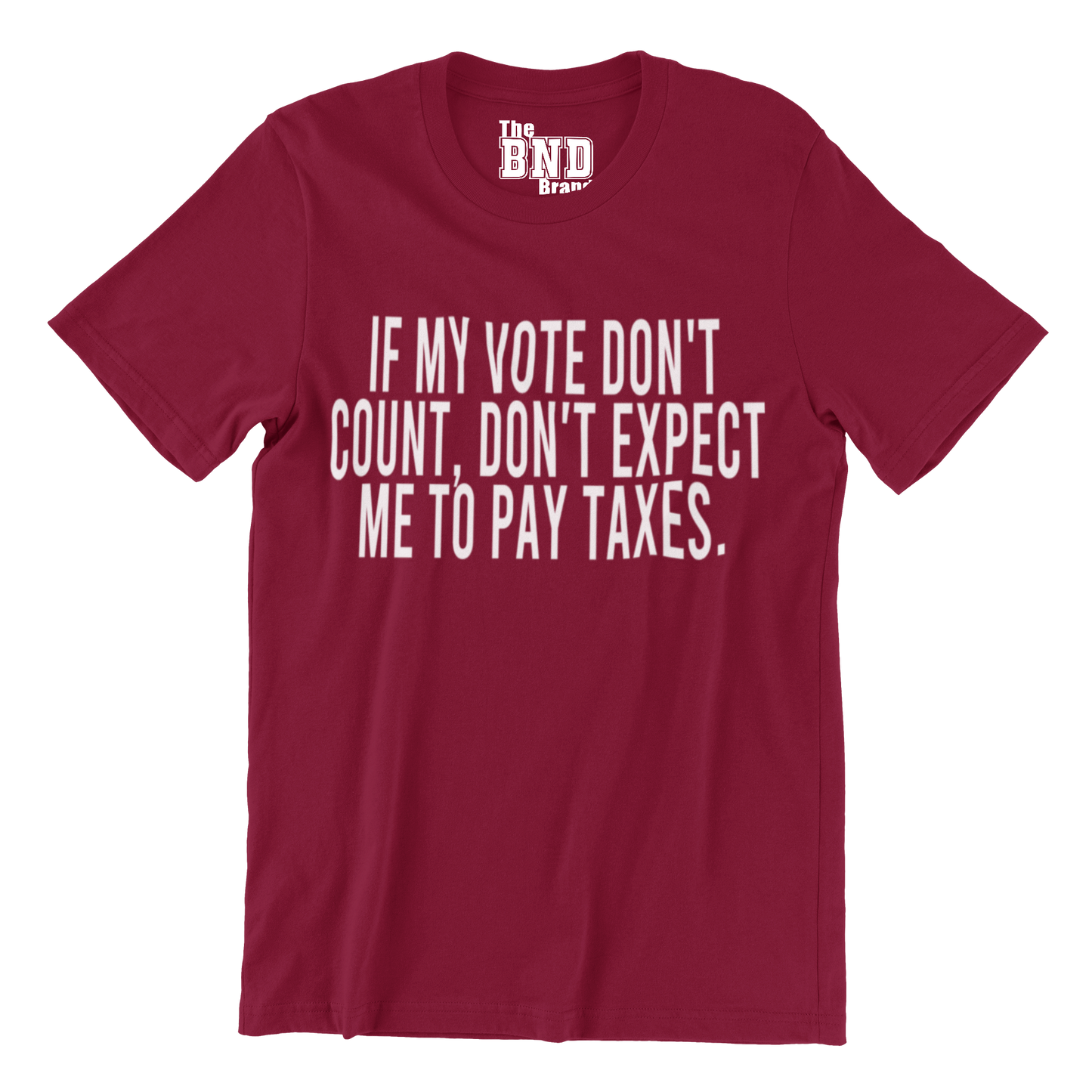 IF MY VOTE DON'T COUNT, DON'T EXPECT ME TO PAY TAXES.