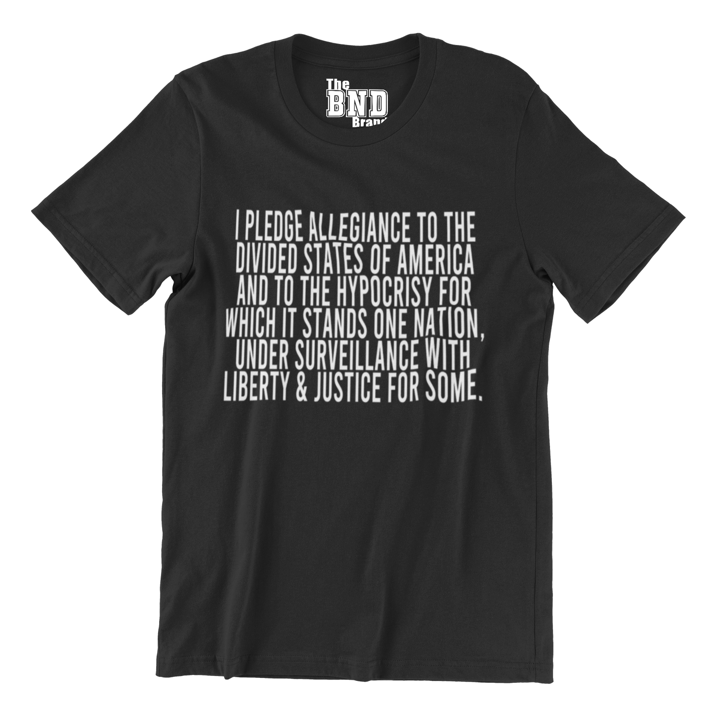 The Pledge of Allegiance (Divided States of America) Tee