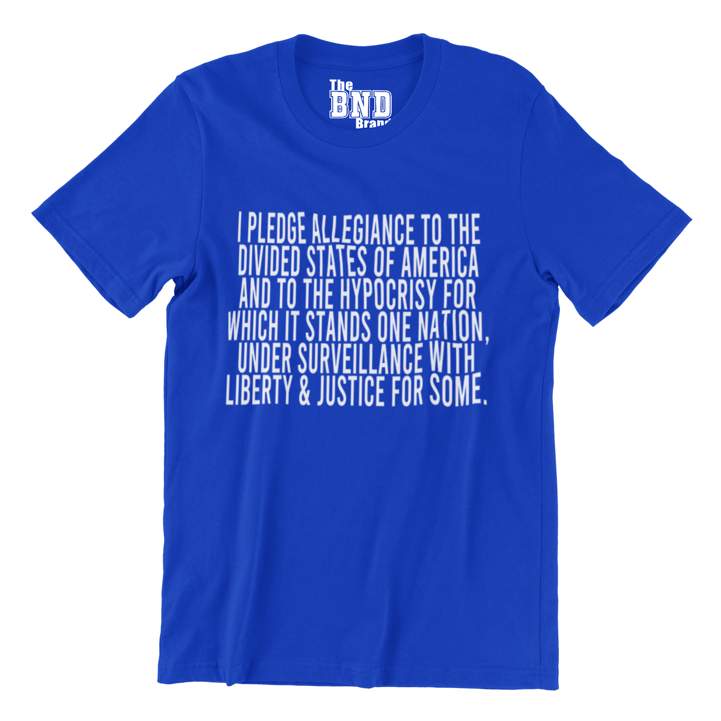 The Pledge of Allegiance (Divided States of America) Tee