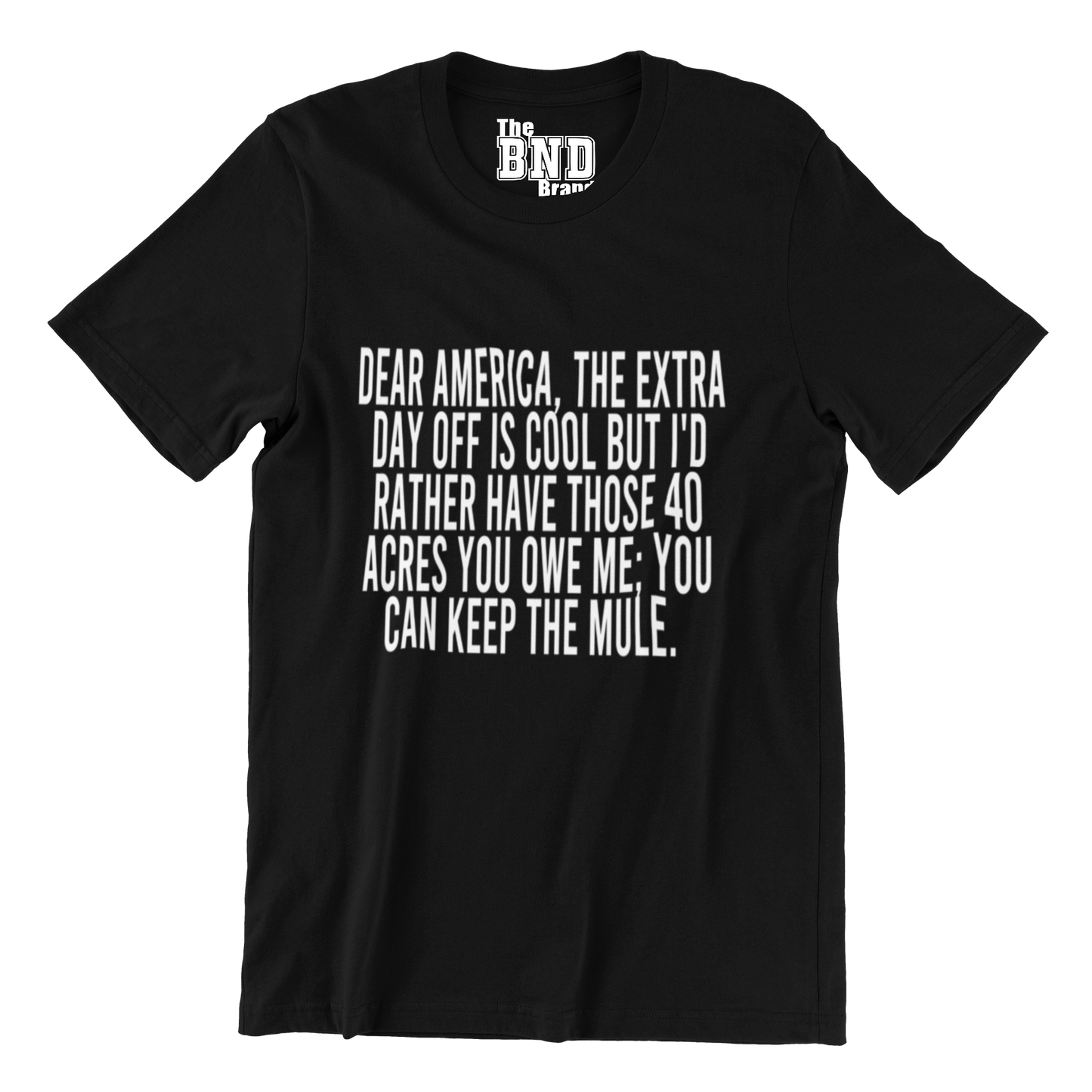 DEAR AMERICA, THE EXTRA DAY OFF IS COOL BUT I'D RATHER HAVE THOSE 40 ACRES YOU OWE ME; YOU CAN KEEP THE MULE