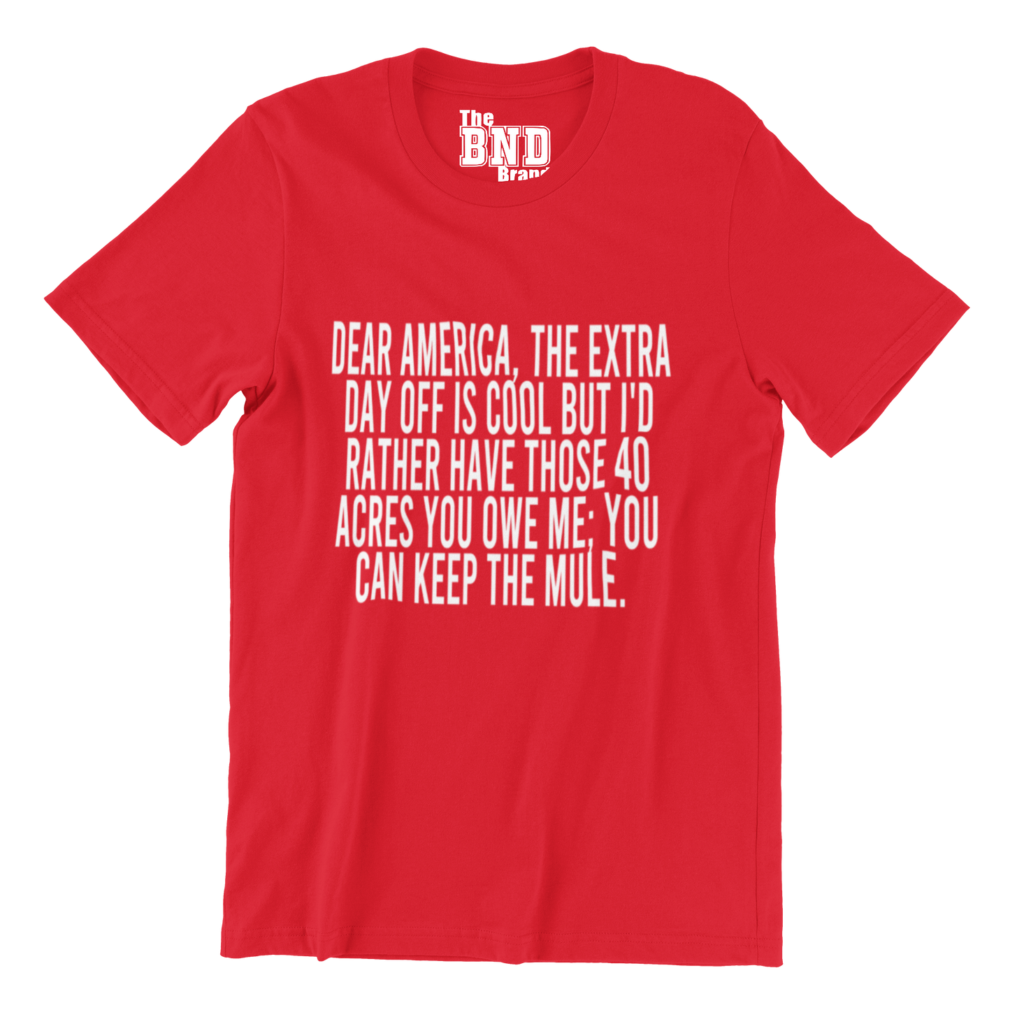 DEAR AMERICA, THE EXTRA DAY OFF IS COOL BUT I'D RATHER HAVE THOSE 40 ACRES YOU OWE ME; YOU CAN KEEP THE MULE