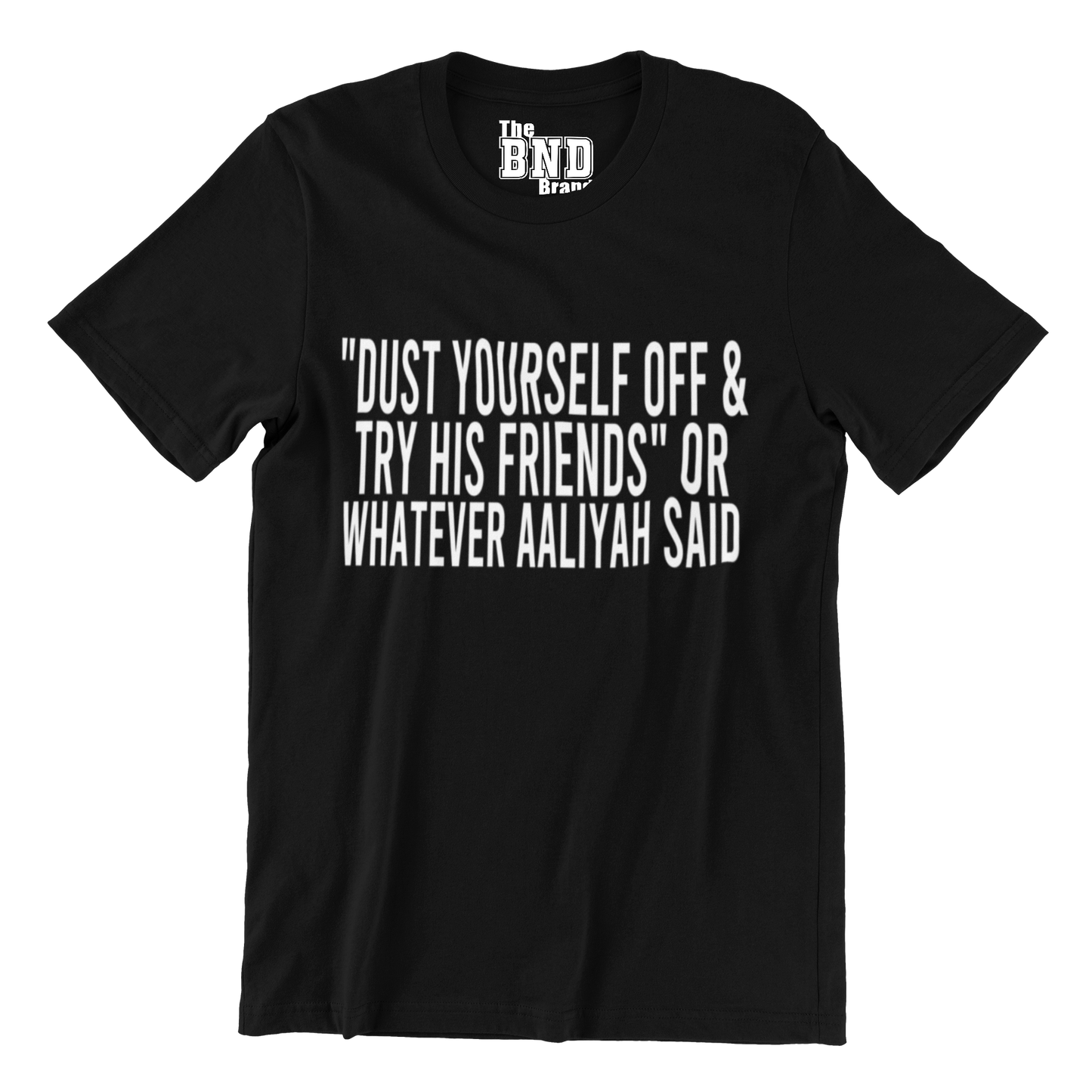 DUST YOURSELF OFF AND TRY HIS FRIENDS OR WHATEVER AALIYAH SAID