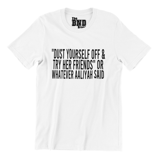 DUST YOURSELF OFF AND TRY HER FRIENDS OR WHATEVER AALIYAH SAID