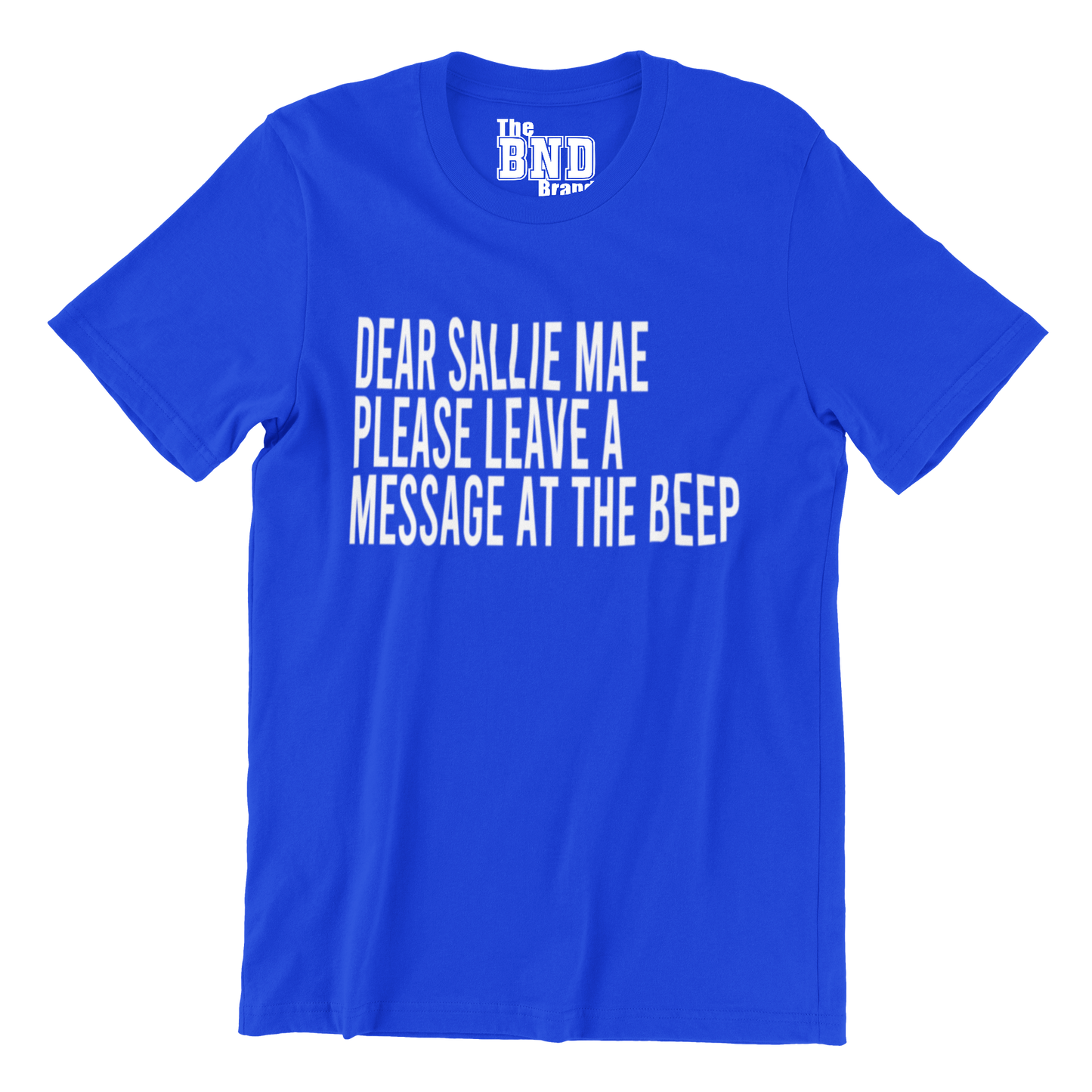 DEAR SALLIE MAE, PLEASE LEAVE A MESSAGE AT THE BEEP.