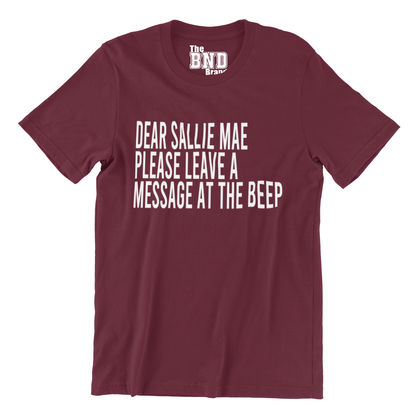 DEAR SALLIE MAE, PLEASE LEAVE A MESSAGE AT THE BEEP.