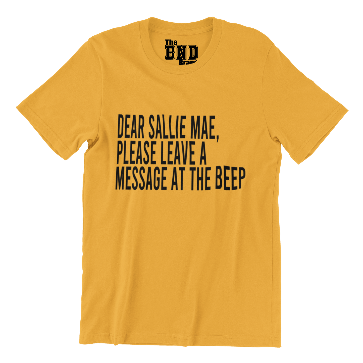 DEAR SALLIE MAE, PLEASE LEAVE A MESSAGE AT THE BEEP.
