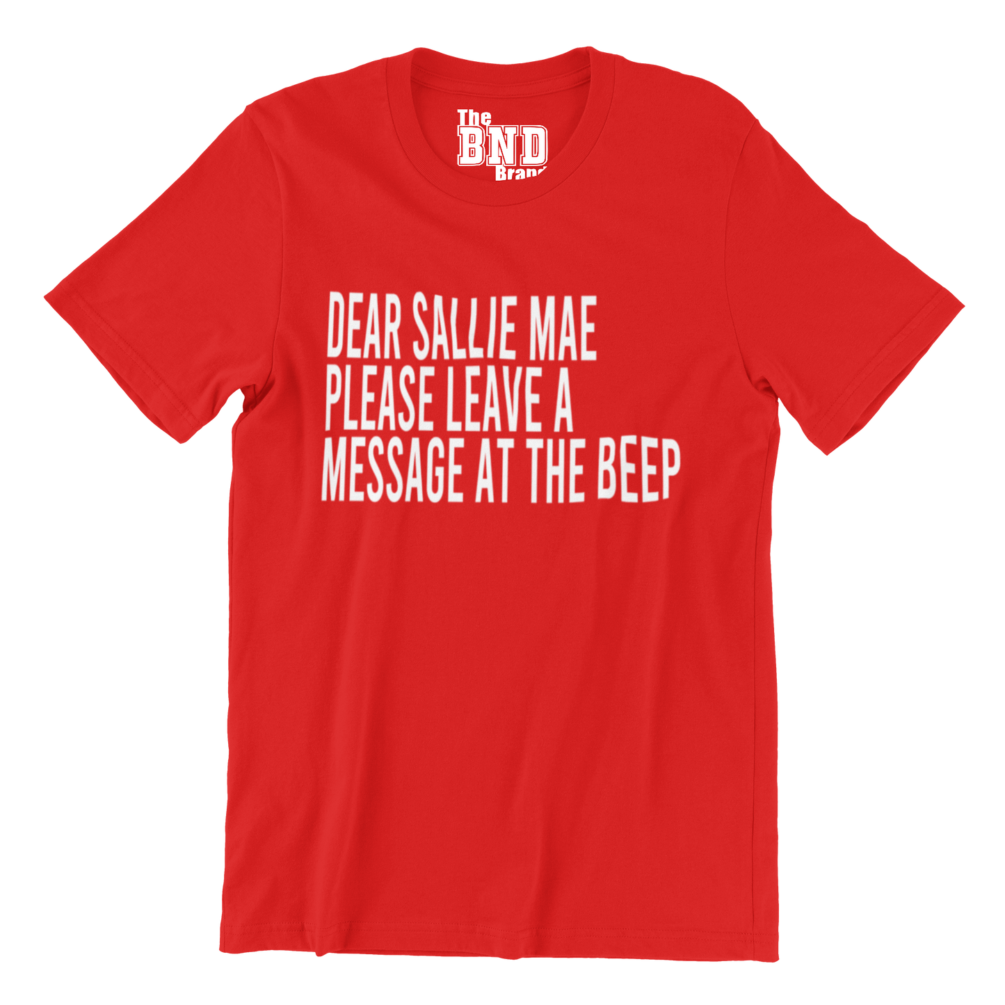 DEAR SALLIE MAE, PLEASE LEAVE A MESSAGE AT THE BEEP.