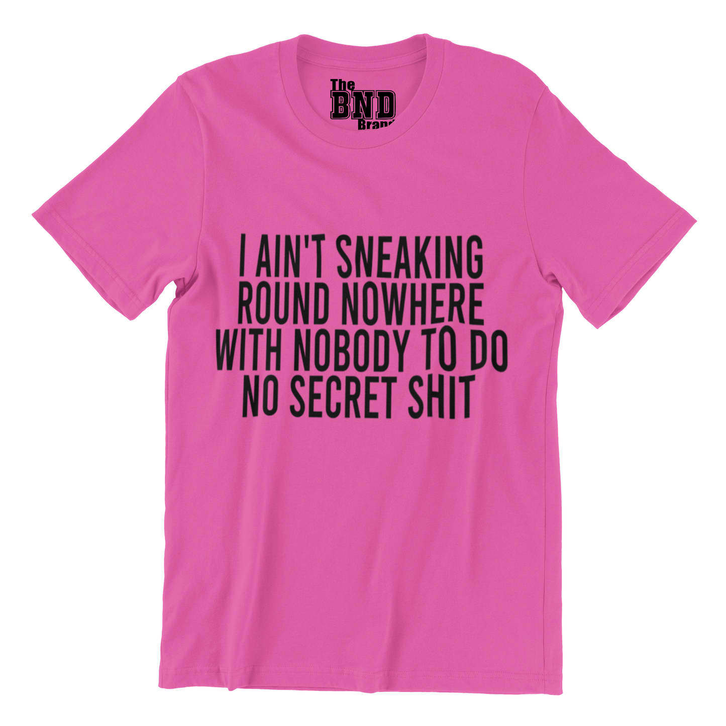 I AIN'T SNEAKING ROUND NOWHERE WITH NOBODY TO DO NO SECRET SHIT